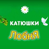 Telegram profile photo for Лобня. Катюшки. Важное