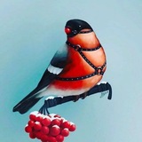 Telegram profile photo for 4
