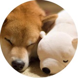 Telegram profile photo for 🐶汪汪汪汪汪🐶