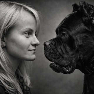 Telegram profile photo for Тележка кинолога/ дрессировка, решение поведенческих проблем, nosework