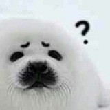 Telegram profile photo for Seal_las
