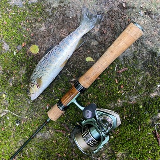 Telegram profile photo for Piterfishing
