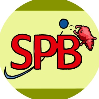 Telegram profile photo for Pantini SPBEX News