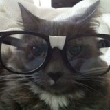 Telegram profile photo for пополнение
