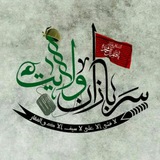 Telegram profile photo for گروه رزمی سربازان ولایت