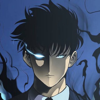 Telegram profile photo for Solo Leveling Hindi Dubbed Complete ~ AS4U