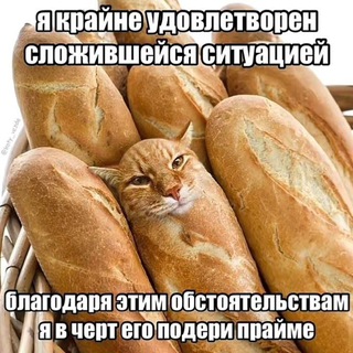 Telegram profile photo for спавн великого вирти