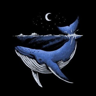 Telegram profile photo for Whales Cathedral 🐳