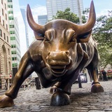 Telegram profile photo for The Bull Of Wall Street - Portal