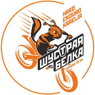 Telegram profile photo for Шустрая Белка Новости.