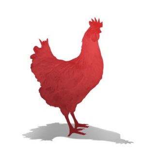Telegram profile photo for 🐔雪崩雞chikn🔺中文休閒交流群