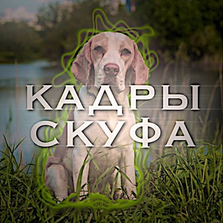 Telegram profile photo for Кадры скуфа