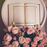 Telegram profile photo for تغذية قرآنية🌿.