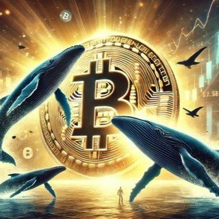 Telegram profile photo for BoomBoom