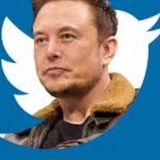 Telegram profile photo for ELON TWITTER CALLS