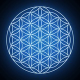 Telegram profile photo for Masa Crítica
