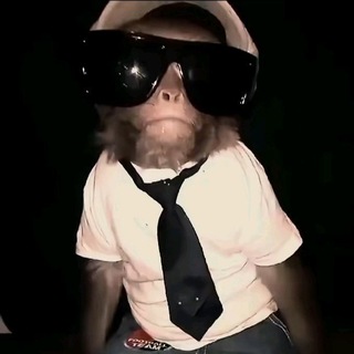 Telegram profile photo for My bio