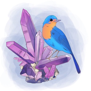 Telegram profile photo for Птички и камушки