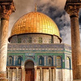 Telegram profile photo for دَجن
