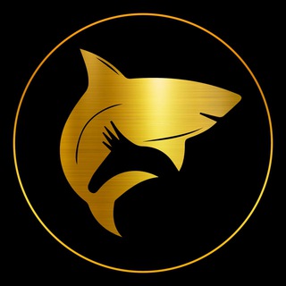 Telegram profile photo for SHARK | AIRDROP