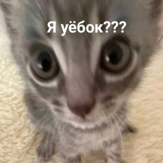 Telegram profile photo for детский сад клюквы