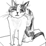 Telegram profile photo for Переходник
