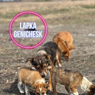 Telegram profile photo for Лапка🐾 Chat