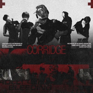 Telegram profile photo for CORRIDGE : Fortunate Youth.