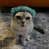 Telegram profile photo for питерачача//мультифандомы машуши
