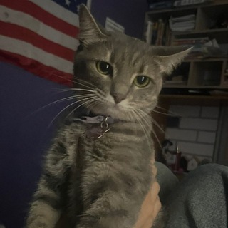 Telegram profile photo for Архив Фунж