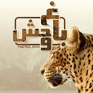 Telegram profile photo for باغ وحش