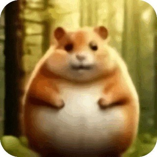 Telegram group profile photo for Нора хомяка🐹