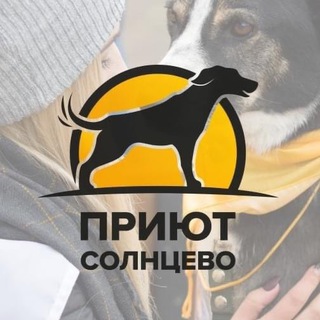 Telegram profile photo for Приют для собак Солнцево