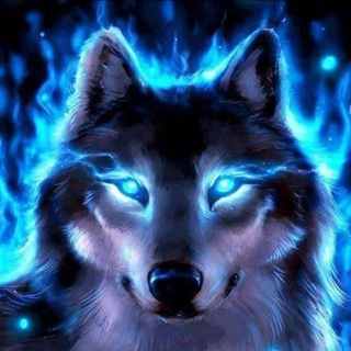Telegram profile photo for Дух Волка-_-