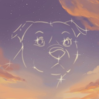 Telegram profile photo for Credo Dog Club | Svargsaga SBT