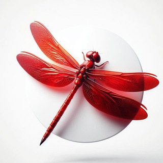Telegram profile photo for Red_Dragonfly TG Advertising Agency Studio