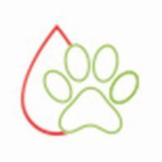 Telegram profile photo for АрхиМед-Вет
