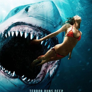 Telegram profile photo for Shark bait ITA FILM
