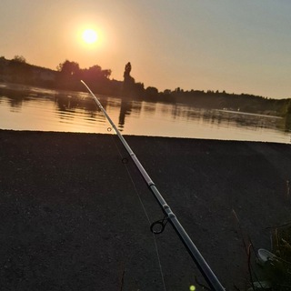 Telegram profile photo for World fish
