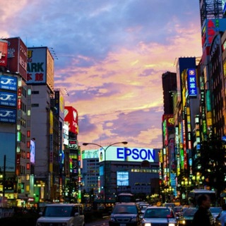 Telegram group profile photo for 新生机场|Relax Mid-Spring|ShiBuYa in Night|翻墙/吹水/涩涩/娱乐一站齐全