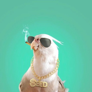 Telegram profile photo for Треш и сексуал