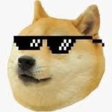 Telegram profile photo for Meme Coin Hunter