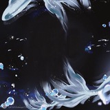 Telegram profile photo for E1460
