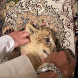 Telegram profile photo for جرهدّ .