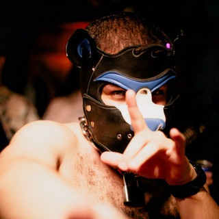 Telegram profile photo for Lewi