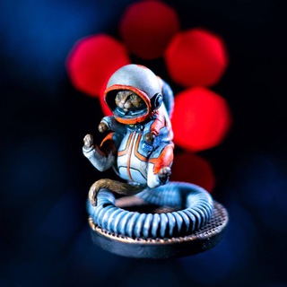 Telegram profile photo for Boardgame_pics