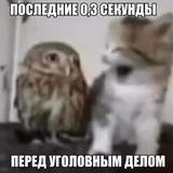 Telegram profile photo for Название группы