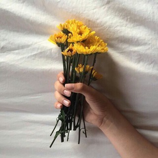 Telegram profile photo for SheHelianthus.🌻