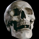 Telegram profile photo for Shadowtime Writer