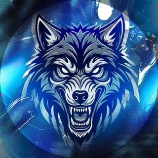 Telegram profile photo for Mansur Carbone